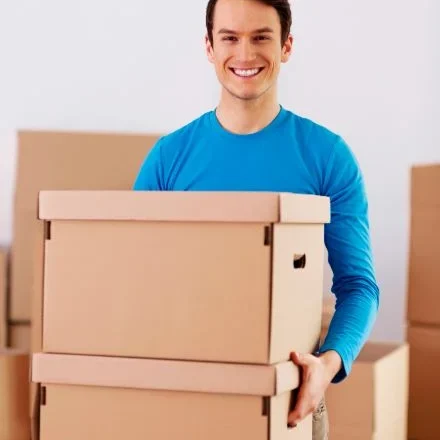 Packers and Movers in Vapi Holding Boxes